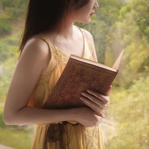 War of the Roses Hardcover Journal, Grande